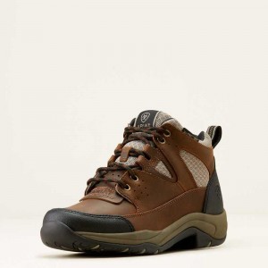 Ariat Terrain VentTEK 360 Boot Brown / Grey Brown | 946IUOVSW