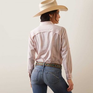 Ariat VentTEK Stretch Shirt Coral Pink / White | 395SBHKFM