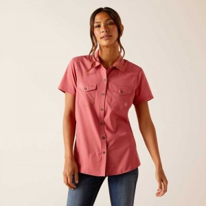 Ariat Western VentTEK Shirt Rose | 408CKOZPH