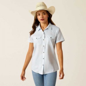 Ariat Western VentTEK Shirt Stripes | 758GBLSWX