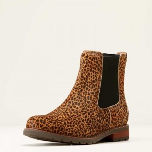 Ariat Wexford Chelsea Boot Cheetah Hair On | 214BUONCL