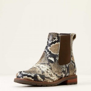 Ariat Wexford Chelsea Boot Snake | 280ZLYGCV