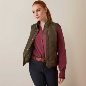 Ariat Woodside Vest Earth | 491VUORSY