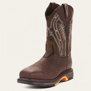 Ariat WorkHog XT Dare Carbon Toe Work Boot Brown | 925TZHIVS