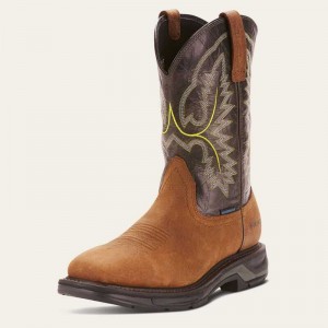 Ariat WorkHog XT Waterproof Work Boot Tumbled Bark | 754OXPHQZ