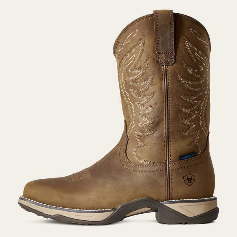 Ariat Anthem Waterproof Western Boot Brown | 389ONUTRM