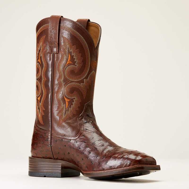 Ariat Barley Ultra Western Boot Dark Tabac Full Quill Ostrich | 064KYDHUF