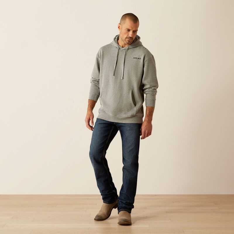 Ariat Bold Hex Hoodie Grey | 653DILQEW