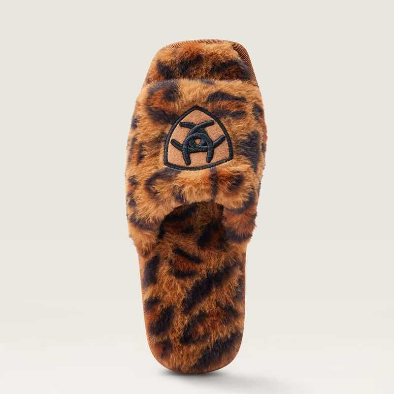 Ariat Cozy Chic Square Toe Slipper Leopard | 674SKIBOE