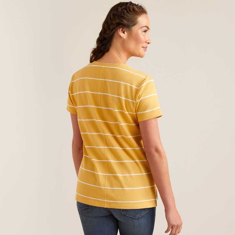 Ariat Fairford T-Shirt Stripes | 193DRMXNH