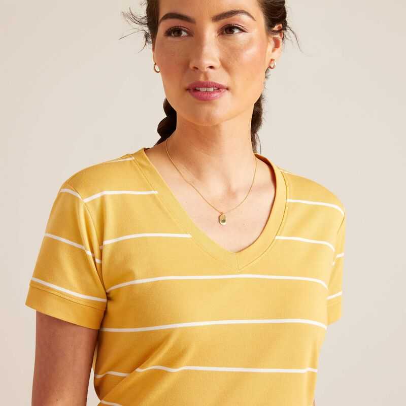 Ariat Fairford T-Shirt Stripes | 193DRMXNH