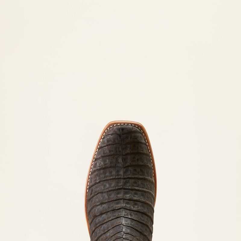 Ariat Futurity Finalist Cowboy Boot Chocolate / Gold | 071DCLBUW