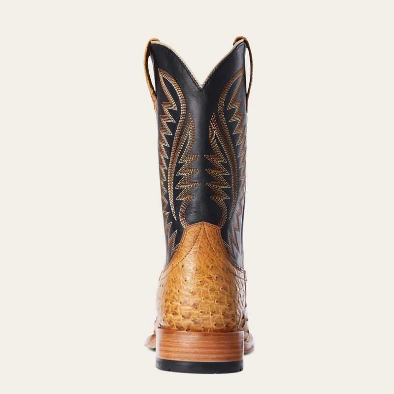 Ariat Gallup Western Boot Brown | 102EVODFN