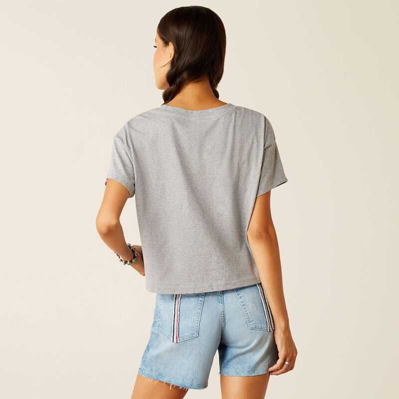 Ariat Homespun Flag T-Shirt Grey | 927RHKXNP