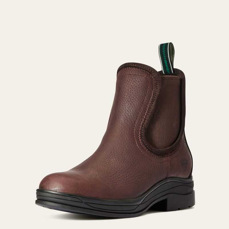 Ariat Keswick Waterproof Boot Dark Brown | 046GSTULD