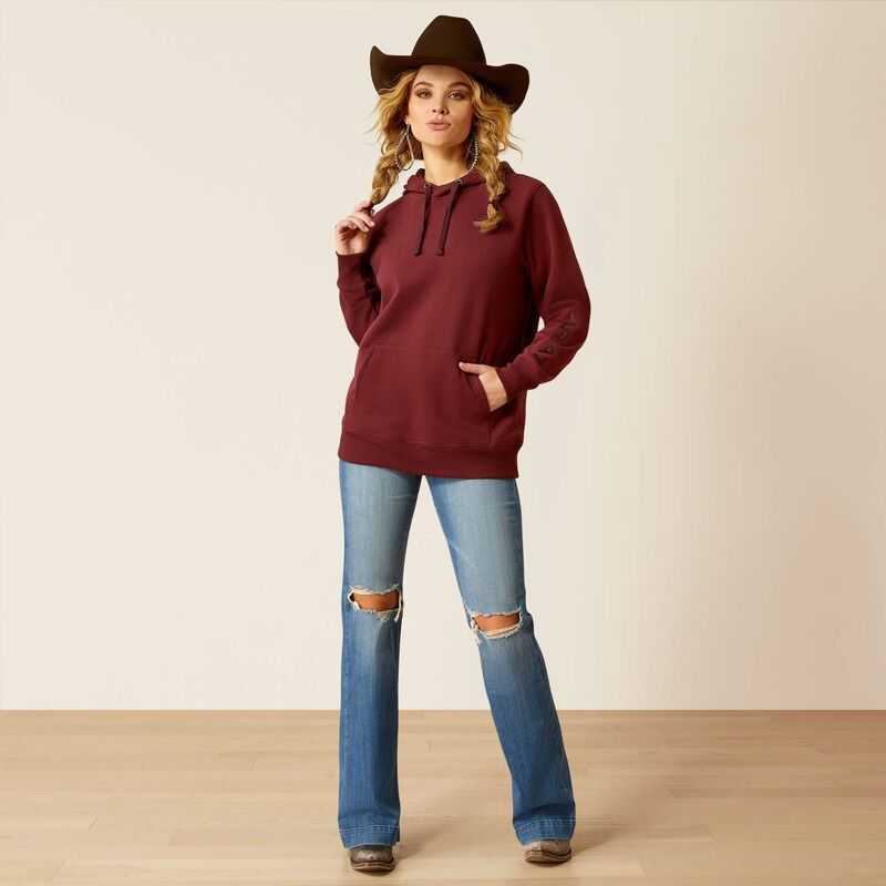 Ariat Logo 2.0 Hoodie Brown | 361GZDVSA