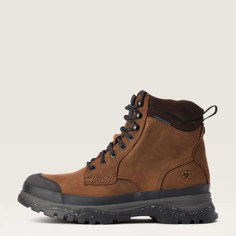 Ariat Moresby Waterproof Boot Brown | 736DOYJGI