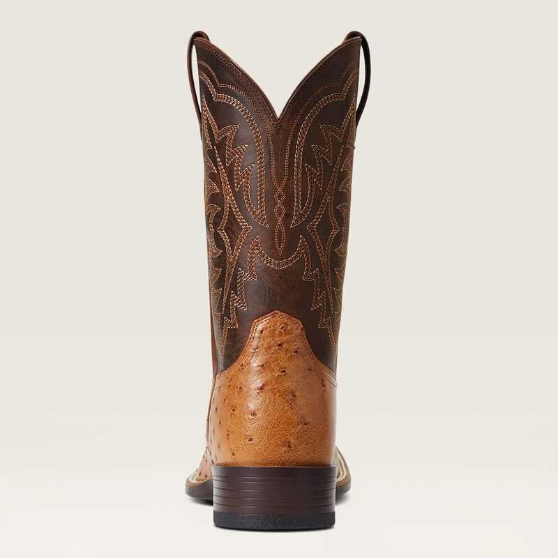 Ariat Night Life Ultra Western Boot Ranger Smooth Quill Ostrich | 347XPSMRO