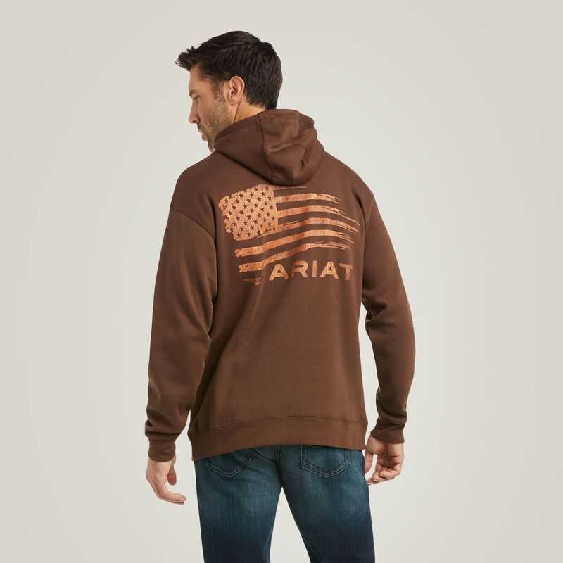 Ariat Patriot 2.0 Sweatshirt Brown / Brown | 069MSWNTZ