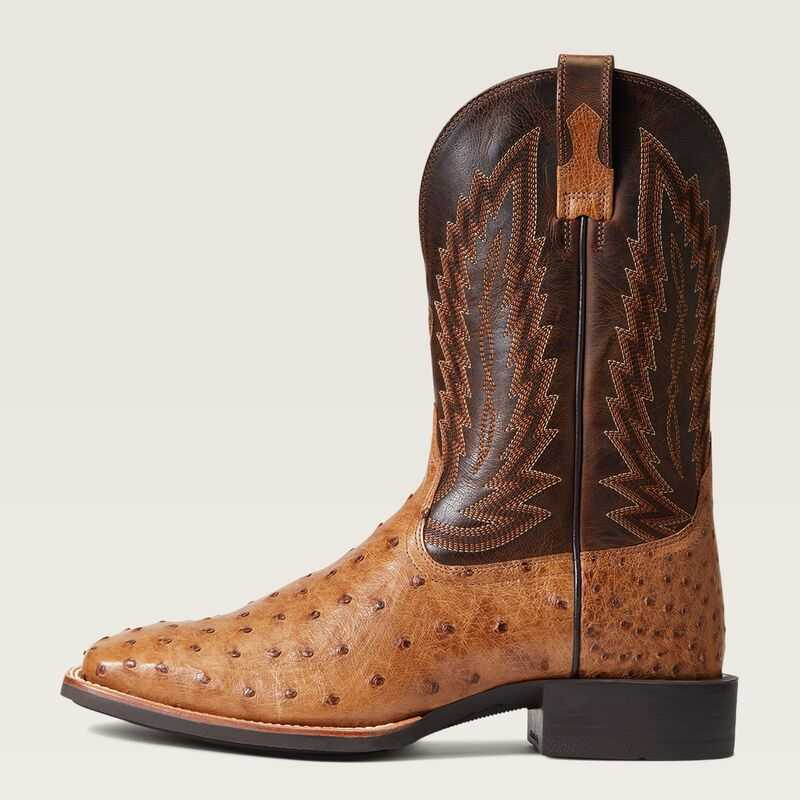 Ariat Quantum Primo Western Boot Ranger Full Quill Ostrich | 372KOVSJF