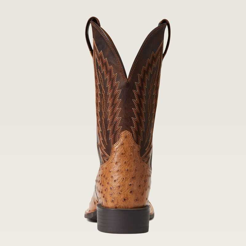 Ariat Quantum Primo Western Boot Ranger Full Quill Ostrich | 372KOVSJF