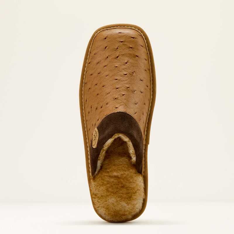 Ariat Silversmith Square Toe Exotic Slipper Brown | 162YNBGCS