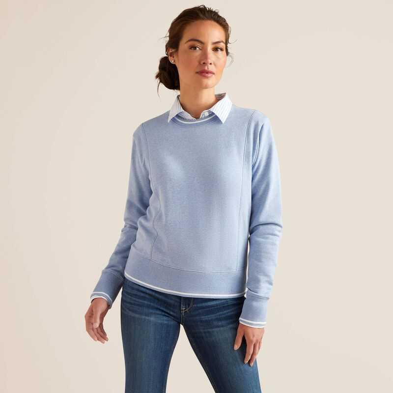 Ariat Tedstock Sweatshirt Light Blue | 378EPJMQN