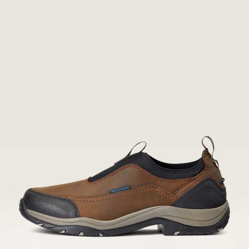 Ariat Terrain Ease Waterproof Brown | 150HYATWL