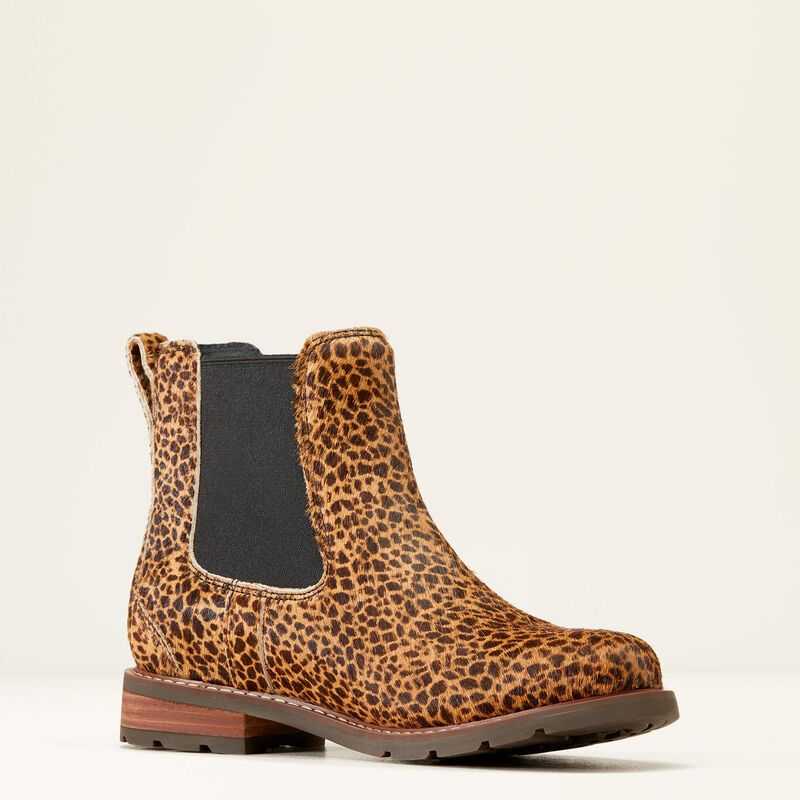 Ariat Wexford Chelsea Boot Cheetah Hair On | 214BUONCL